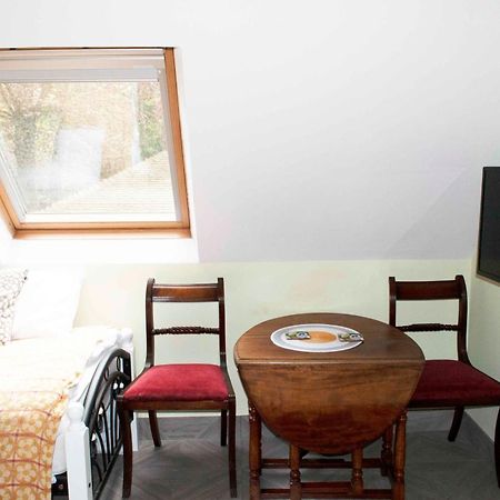 Forest Studio Apartment Gated Parking On 2 Acres Garden Чизълхърст Екстериор снимка