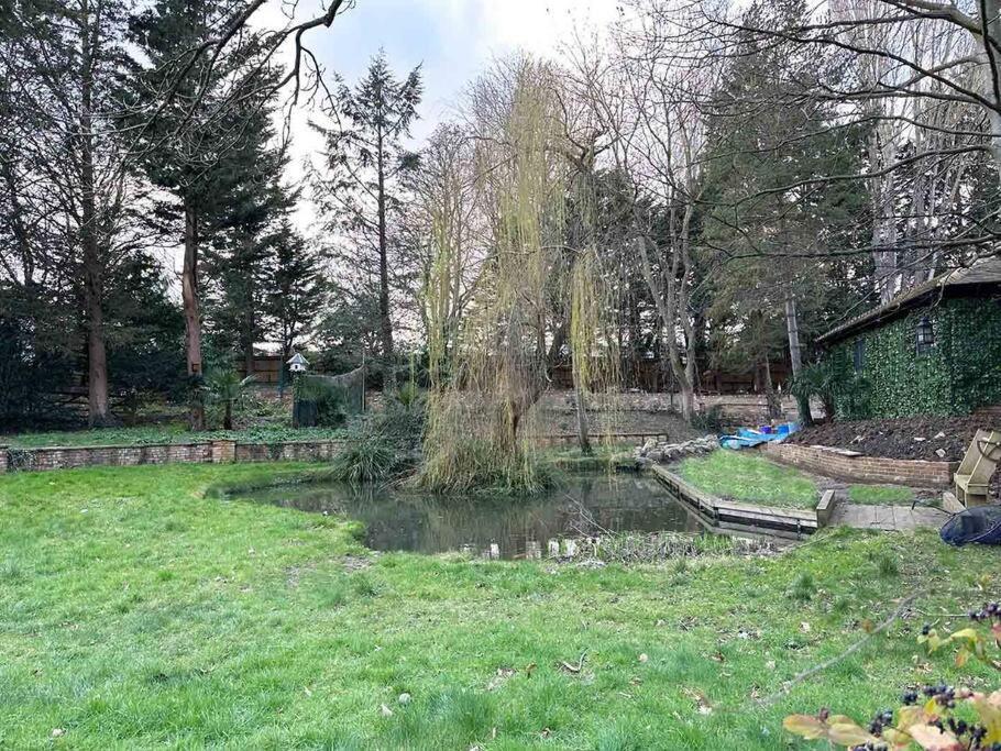 Forest Studio Apt Free Gated Parking On 2 Acres Garden Чизълхърст Екстериор снимка