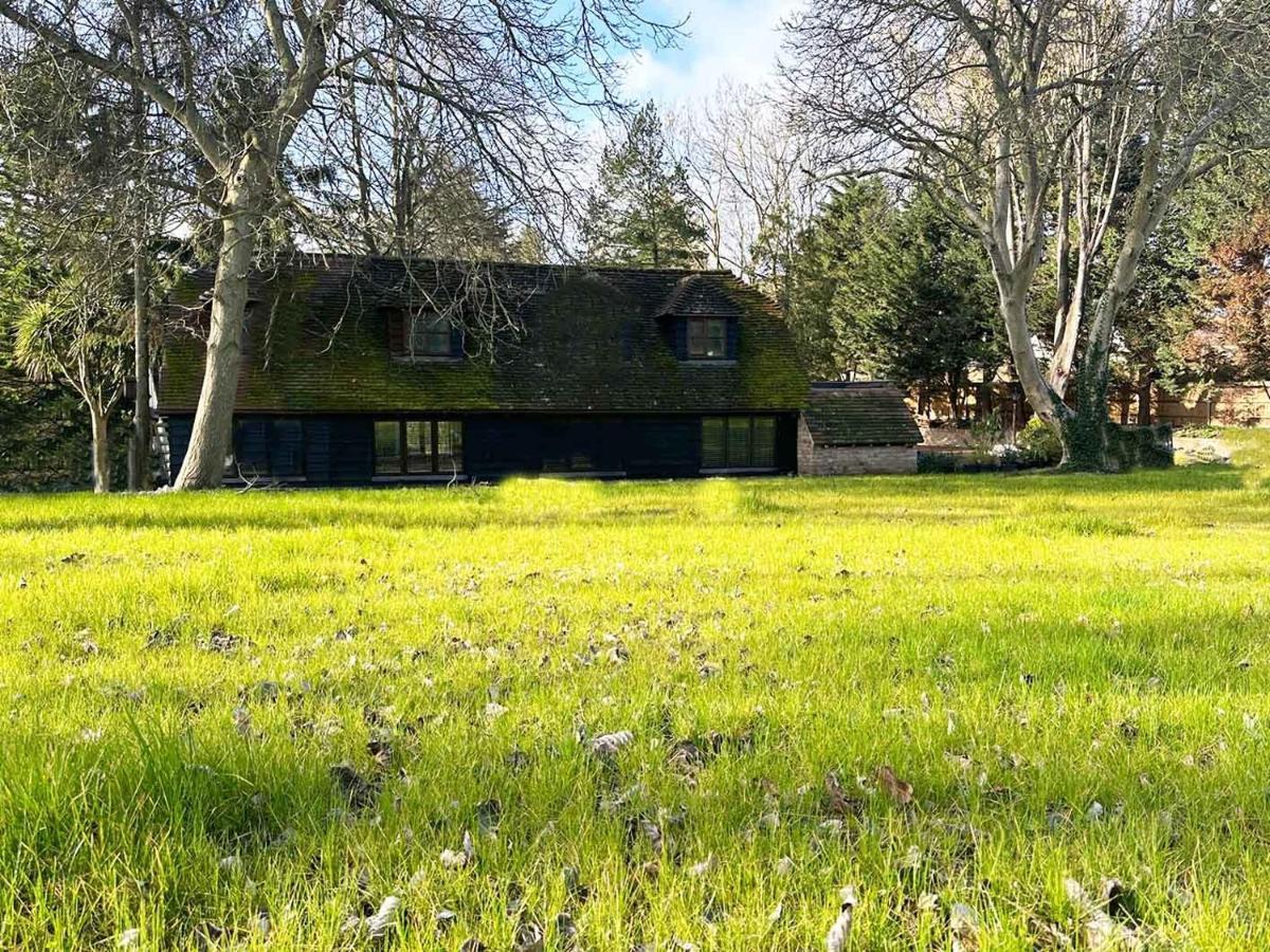Forest Studio Apartment Gated Parking On 2 Acres Garden Чизълхърст Екстериор снимка