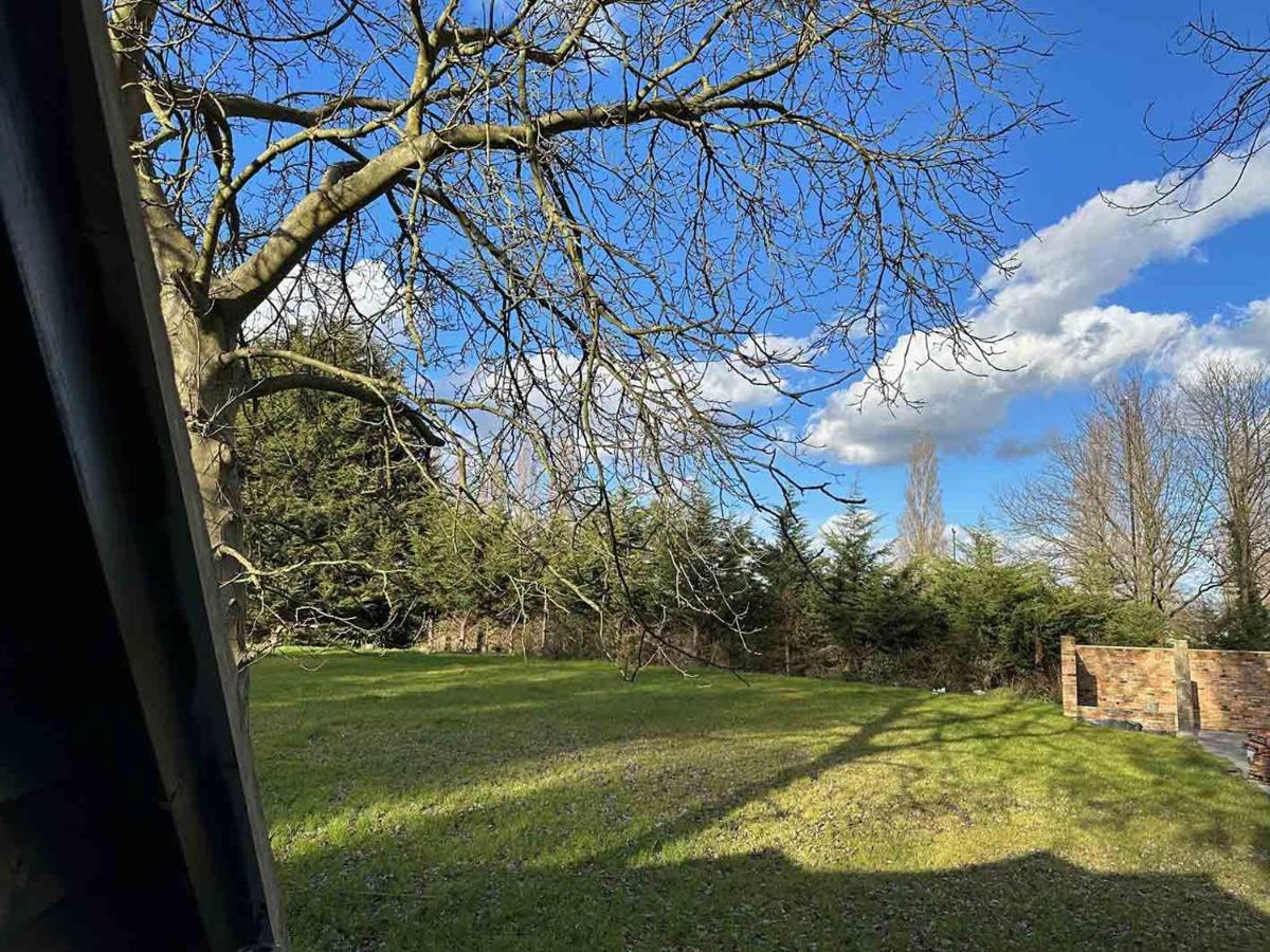 Forest Studio Apartment Gated Parking On 2 Acres Garden Чизълхърст Екстериор снимка