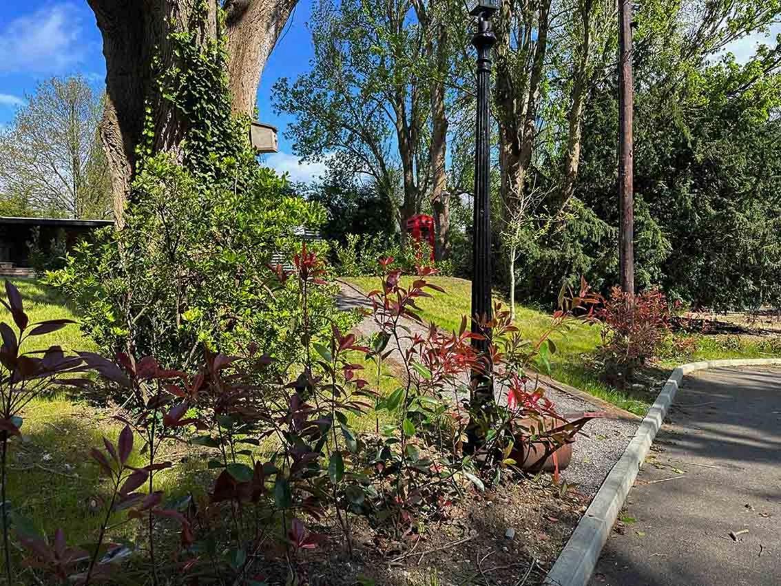 Forest Studio Apt Free Gated Parking On 2 Acres Garden Чизълхърст Екстериор снимка